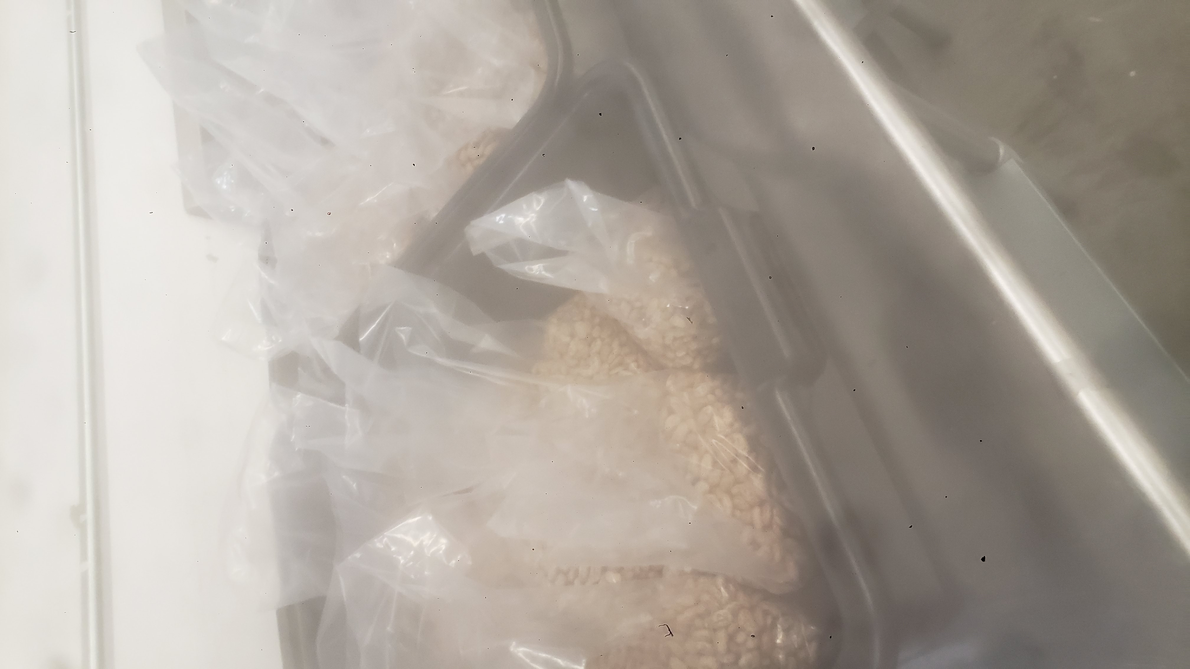 Plastic tubs of pinto bags